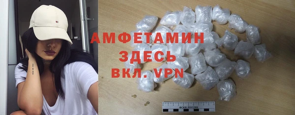 гашик Пестово
