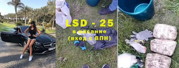 гашик Пестово