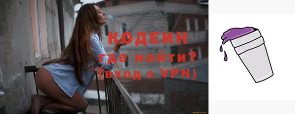 гашик Пестово