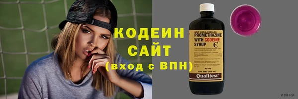 гашик Пестово