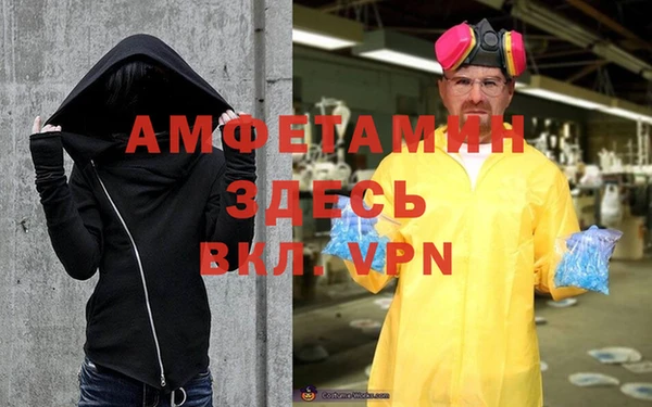 гашик Пестово