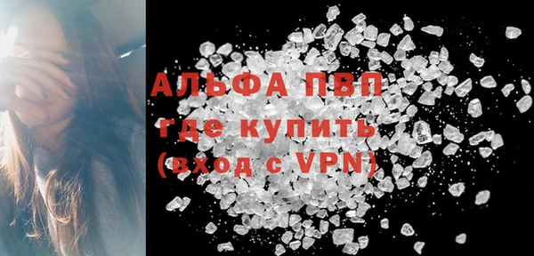 гашик Пестово