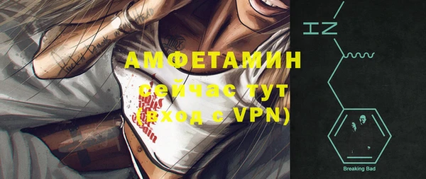твердый Осинники