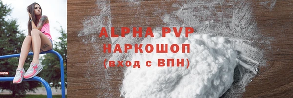 гашик Пестово