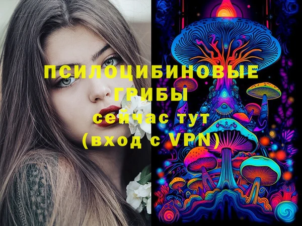 сатива Переславль-Залесский