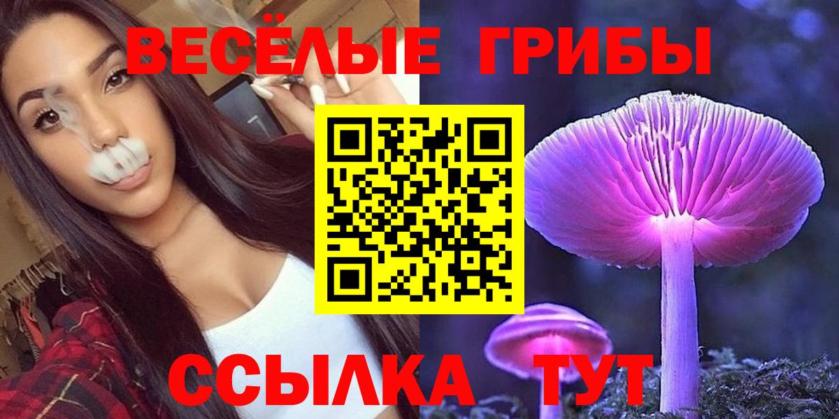 Галлюциногенные грибы MAGIC MUSHROOMS Кольчугино