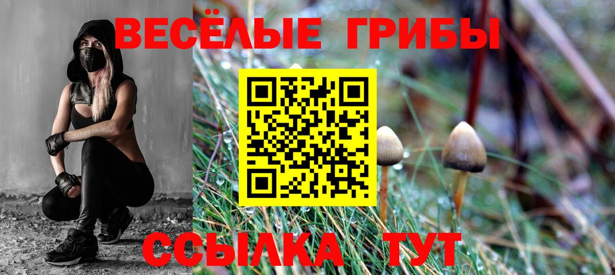 Кольчугино  наркошоп  Вход с VPN  Галлюциногенные грибы MAGIC MUSHROOMS 