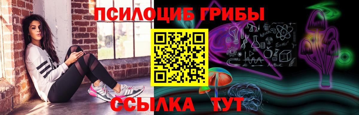 Псилоцибиновые грибы Psilocybine cubensis  как найти наркотики  Кольчугино 
