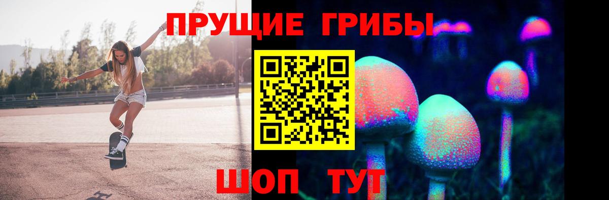 Галлюциногенные грибы Psilocybe Кольчугино