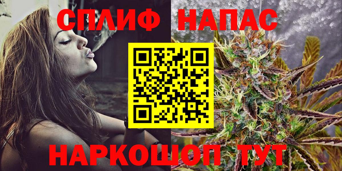 Каннабис индика Кольчугино
